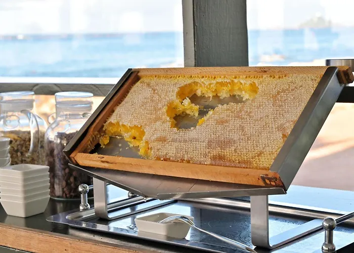 Hotel Restaurant Dolce Ajaccio (Corsica)